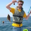 참가자미 이미지