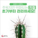 항문이 괴로워...추워지면 악화되는 '치질', 초기부터 관리하세요! 이미지