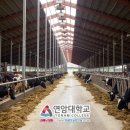 재학축산 이미지