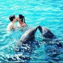 부부로1 이미지