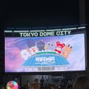 목포야구장 | 라이즈와 나의 첫 도쿄돔 (티켓보드 양도받기부터 관람 후기까지)