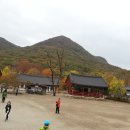 선운사 - 1268 | 선운사