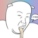 (주)포유푸드 경남제약점 | [임신일기] 12~13주차 | 입체초음파, 니프티검사, 피비침, 영양제추천