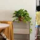 즐거운집 이미지