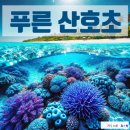 원곡 이미지