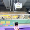 점핑스파이더 운정 이미지