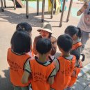 김포서초병설유치원 이미지