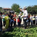 산남초등학교 이미지