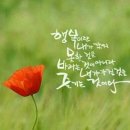 명심보감 이미지