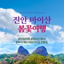 [주말당일] 3월 22일(토) 진안 마이산 봄꽃여행 #마이산 탑사 #부귀 메타세콰이어길 #봄길 이미지