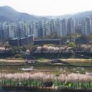 RSM 휘트니스 네이버블로그