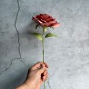 안스부산 이미지