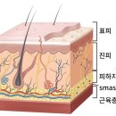 뷰티프롬에스테틱