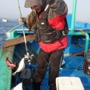 관광 꿈꾸는숲 펜션 이미지