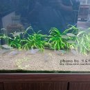 한서아쿠아 이미지