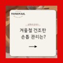 토미네일 이미지