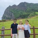 개멋지개 | 제주도 가족여행 : 성산일출봉 혼인지수국 레이식당 소농로드