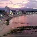 강릉 지구부동산 공인중개사사무소 이미지