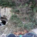 대항새바지 이미지