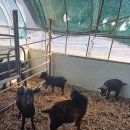 승우농장 이미지