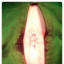 봉 동물병원 이미지