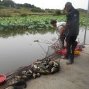 만수낚시터 이미지