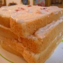 신소프트 이미지