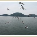 명수선실 - 영등포구 경인로 846 | 명수선실