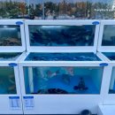 해도지횟집오복미가 이미지