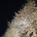 요즘머리 '금연'