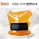 비에스지