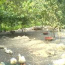 정경농장 이미지