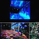 11/30(일) 인스파이어 리조트&amp; G타워 관람 안내 (쇼영상 포함) 이미지