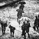 호호다방 이미지