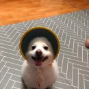 명동슈퍼 이미지