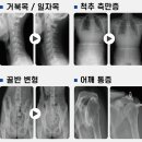 다올연합의원 이미지