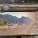 홍천강 이야기 이미지