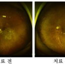 주식회사 바이오신