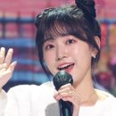 라이브가요산책