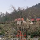 세븐일레븐서대구점