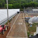 와동농장 이미지