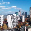 잠실집 Daum카페