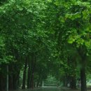 해피케어 이미지