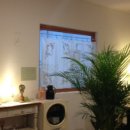 동동카워시 이미지