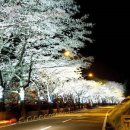 직지사길 이미지