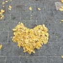 개림중학교 | 2♡25