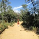 수향주유소 이미지