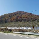 [국도34] 괴산군 적석리 티스토리