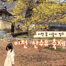(주)오이소 시골장터 | 이천 산수유축제 아이와 다녀온 후기 가족 봄나들이 포토존 추천