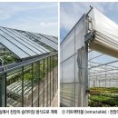 유리온실 천장 개폐방식 이미지